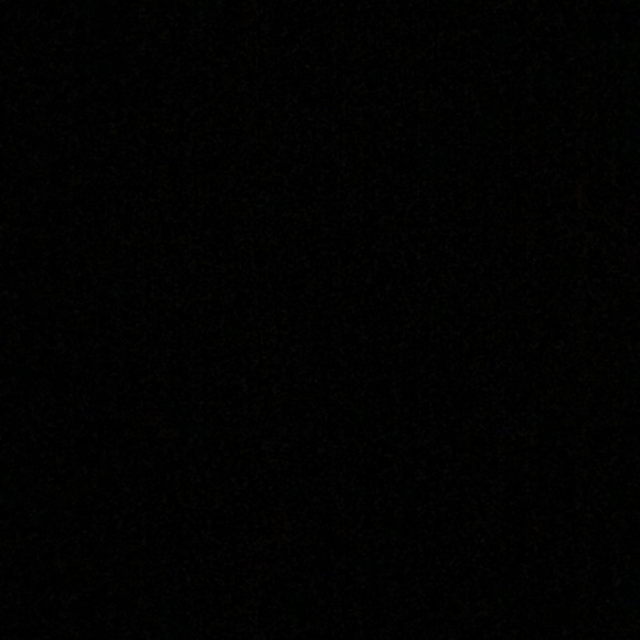 Meet your Posher, Lily - Picture 1 of 1